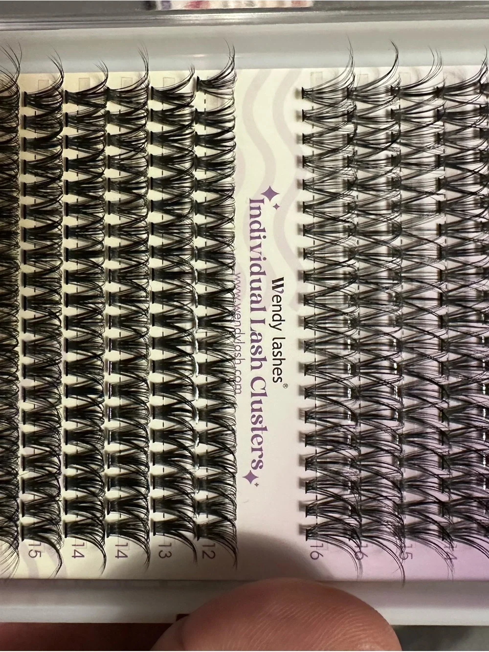 Eyelash Bundle